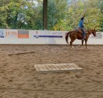 Trot log drag small.JPG