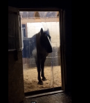 Screenshot (5).png Screenshot (5).png