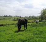 resize mills.jpg resize mills.jpg