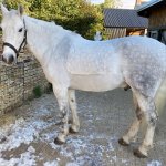 425C3B2E-09B2-4A37-ACC1-44B15FCC94B2.jpeg 425C3B2E-09B2-4A37-ACC1-44B15FCC94B2.jpeg