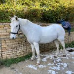 16CF28CB-46B3-4675-B83A-20FDBEEDBD0D.jpeg 16CF28CB-46B3-4675-B83A-20FDBEEDBD0D.jpeg