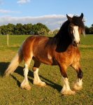 20200516_041321_resize_44.jpg 20200516_041321_resize_44.jpg