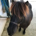 E6B726A7-5192-426E-80AF-8E6D527FF62A.jpeg E6B726A7-5192-426E-80AF-8E6D527FF62A.jpeg