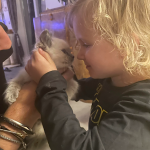 E2249D11-0CF4-4EBB-9CDF-895520BBE980.png E2249D11-0CF4-4EBB-9CDF-895520BBE980.png