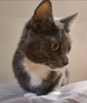 Screenshot_20211215-093639_Gallery.jpg Screenshot_20211215-093639_Gallery.jpg