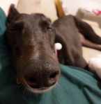 1640255037267.png 1640255037267.png