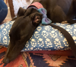 1641052082521.png 1641052082521.png