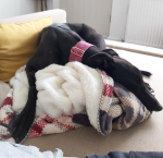 1641240104372.png 1641240104372.png