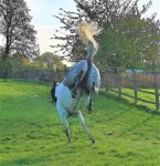 IMG_20181027_074419 (2).jpg