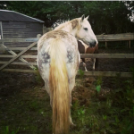 2019-04-23 18.12.43.png