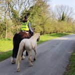 WhatsApp Image 2019-03-31 at 19.14.14.jpg