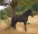 Screen Shot 2019-04-24 at 22.25.59.png