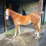 8B8E33FA-D654-41AD-B450-556F8338FA13.jpeg 8B8E33FA-D654-41AD-B450-556F8338FA13.jpeg