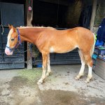 2AD570BE-7EBC-4DEA-9308-65BAD714BB3F.jpeg 2AD570BE-7EBC-4DEA-9308-65BAD714BB3F.jpeg