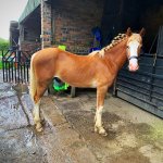 07AC769D-6211-4D0D-AB73-F40525635E55.jpeg 07AC769D-6211-4D0D-AB73-F40525635E55.jpeg