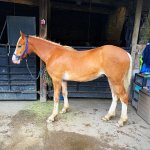 B4BA3F60-63E6-436B-A078-61DA783AD0E9.jpeg B4BA3F60-63E6-436B-A078-61DA783AD0E9.jpeg