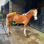 1AD8FB5D-5068-4471-BD1E-1D6F4819295B.jpeg 1AD8FB5D-5068-4471-BD1E-1D6F4819295B.jpeg