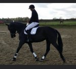 9CF59787-4F32-410A-97B0-2FFA8D602CC6.jpeg 9CF59787-4F32-410A-97B0-2FFA8D602CC6.jpeg