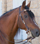 Screen Shot 2022-01-12 at 17.12.04.png