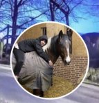 D1C32D07-4FFF-4F46-BF81-42AD4CA8FF33.jpeg D1C32D07-4FFF-4F46-BF81-42AD4CA8FF33.jpeg