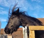 272983876_10221887246394306_6967094029934314369_n.jpg 272983876_10221887246394306_6967094029934314369_n.jpg