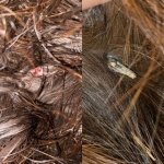 F3DF0924-2BC3-47E4-A5A3-B4B1318222EF.jpeg F3DF0924-2BC3-47E4-A5A3-B4B1318222EF.jpeg