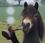 smokin dave.jpg smokin dave.jpg