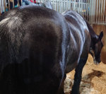 1644580281663.png 1644580281663.png