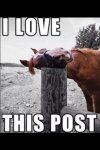 i love this post.jpg