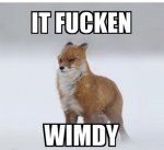 rMV4Tou.jpeg rMV4Tou.jpeg