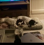 01F46618-83BD-45DC-96ED-F8617A960009.jpeg 01F46618-83BD-45DC-96ED-F8617A960009.jpeg