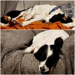 20220225_202757.jpg 20220225_202757.jpg