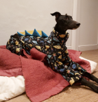 1646931091520.png 1646931091520.png