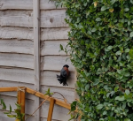 Screenshot_20220404-094202~2.png Screenshot_20220404-094202~2.png