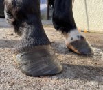 IMG_2167.jpg IMG_2167.jpg