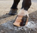 IMG_2162.jpg IMG_2162.jpg