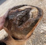 IMG_2160.jpg IMG_2160.jpg