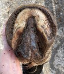 IMG_2158.jpg IMG_2158.jpg