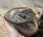 IMG_2152 (1).jpg IMG_2152 (1).jpg