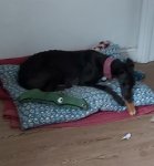20220409_171654.jpg