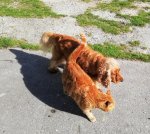 Tactictalk.jpg Tactictalk.jpg