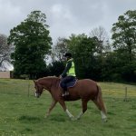 85151E15-A500-4134-815D-63D30F207402.jpeg 85151E15-A500-4134-815D-63D30F207402.jpeg