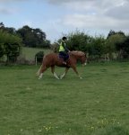 27B44BCB-477C-4A83-BF24-F35C434108C4.jpeg 27B44BCB-477C-4A83-BF24-F35C434108C4.jpeg