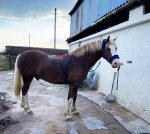 56128EAD-5D46-4F82-B7E1-3247E5D8B9EF.jpeg 56128EAD-5D46-4F82-B7E1-3247E5D8B9EF.jpeg