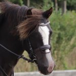 F8617D46-37E3-4BD5-851E-4A5AFF994BB3.jpeg F8617D46-37E3-4BD5-851E-4A5AFF994BB3.jpeg