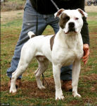 1653555220511.png 1653555220511.png