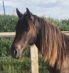 17D343C0-6C93-4353-BFB4-C5C2945B2133.jpeg 17D343C0-6C93-4353-BFB4-C5C2945B2133.jpeg