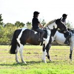 FB_IMG_1631894139446.jpg FB_IMG_1631894139446.jpg