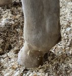 7B20C9BC-0A62-4C9F-A648-F53090F382EB.jpeg 7B20C9BC-0A62-4C9F-A648-F53090F382EB.jpeg