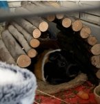 DE79E21D-85D9-449A-A2B7-26ABC9CB8895.jpeg DE79E21D-85D9-449A-A2B7-26ABC9CB8895.jpeg